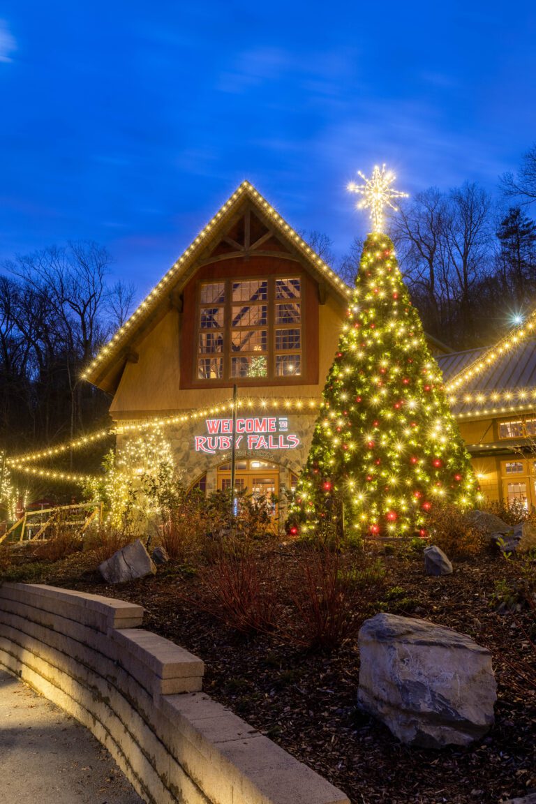Ruby Falls with white Christmas lights and a Christmas tree