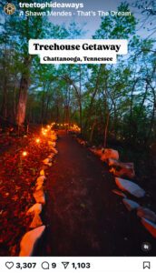 Pathway in the surrounded by trees lite with cafe lights in the evening.