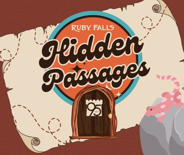 Logo for Hidden Passages with whimsical brown wooden door illustration